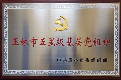 玉柴集团党委荣获2018年度玉林市 “五星级”基层党组织称号
