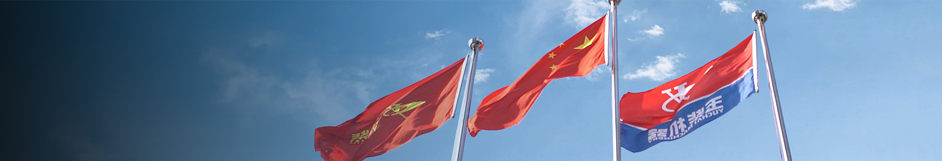 乐动体育官方网站
