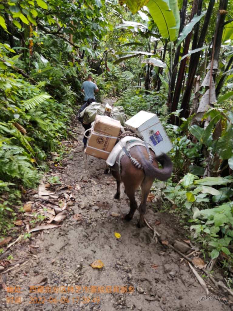 行走在喜马拉雅山巅的玉柴服务