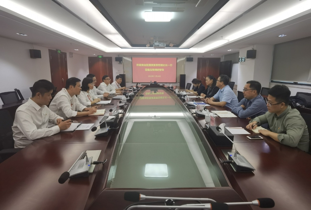 自治区国资委督导组到玉柴开展基层党建调研督导工作