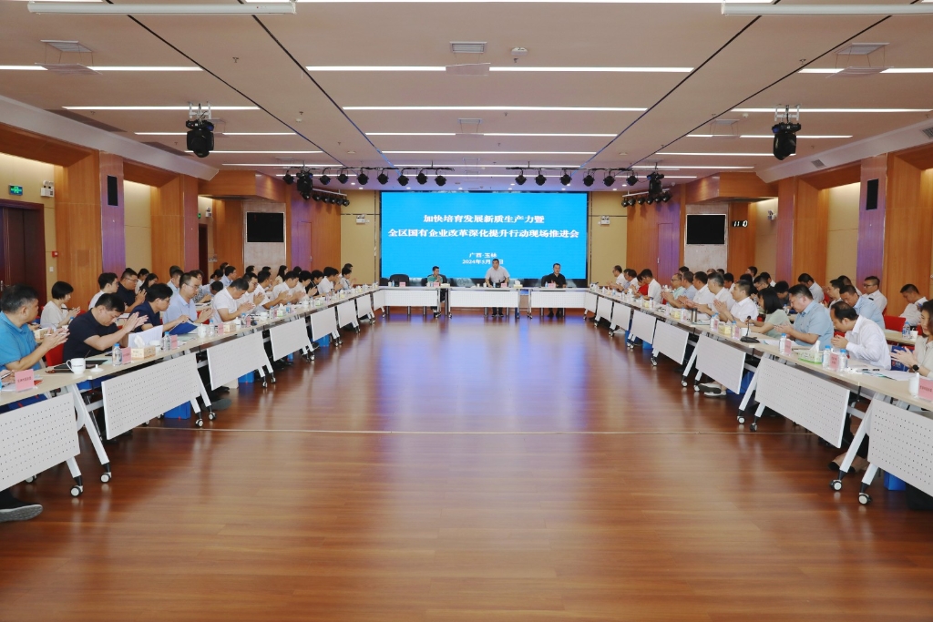 自治区国资委加快培育发展新质生产力暨全区国有企业改革深化提升行动现场推进会在玉柴召开 